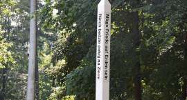 zdjęcie nr 12