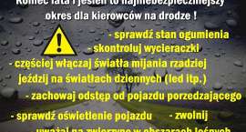 Fotka nr 0 z 3