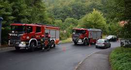 Fotka nr 4 z 11