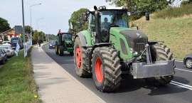 zdjęcie nr 6