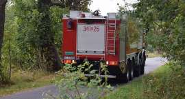 Fotka nr 1 z 16
