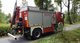 Fotka nr 4 z 16