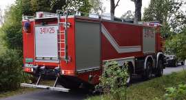 Fotka nr 2 z 16
