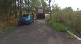 zdjęcie nr 7