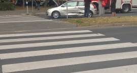 Fotka nr 4 z 6