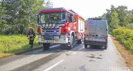 zdjęcie nr 7