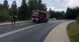Fotka nr 1 z 13