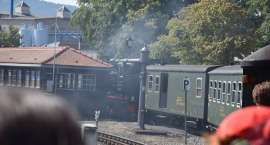 Fotka nr 4 z 38
