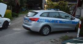 Fotka nr 2 z 13