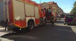 Fotka nr 1 z 8
