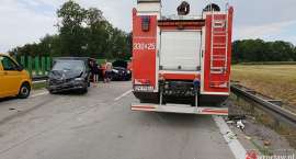 Fotka nr 2 z 3
