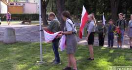 zdjęcie nr 7