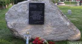zdjęcie nr 12