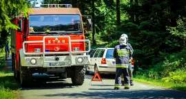 Fotka nr 2 z 15