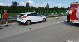 zdjęcie nr 7