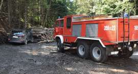 Fotka nr 2 z 13