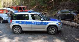 Fotka nr 4 z 13