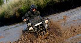 zdjęcie nr 42
