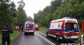 zdjęcie nr 17