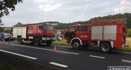 Fotka nr 3 z 19