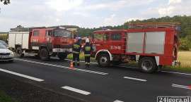 zdjęcie nr 7