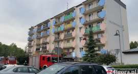 Fotka nr 5 z 8