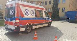Fotka nr 2 z 4