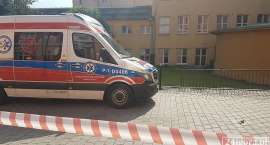 Fotka nr 1 z 4