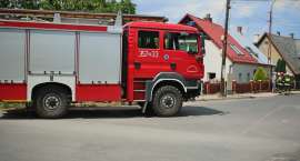Fotka nr 3 z 10
