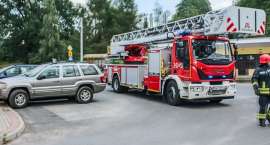 Fotka nr 4 z 10