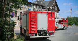 Fotka nr 1 z 10
