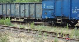 zdjęcie nr 7