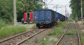 zdjęcie nr 9