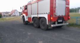 Fotka nr 2 z 12
