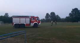 Fotka nr 4 z 12