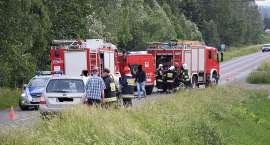 Fotka nr 3 z 12