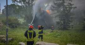 Fotka nr 5 z 12