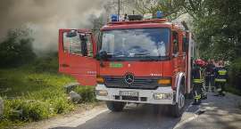 Fotka nr 4 z 12