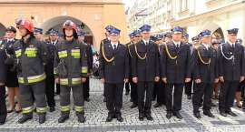 zdjęcie nr 7