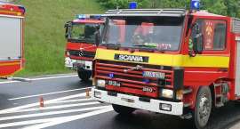 Fotka nr 5 z 18