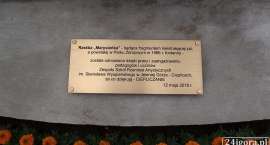 zdjęcie nr 32