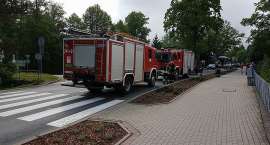 Fotka nr 3 z 5