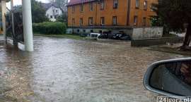 zdjęcie nr 9