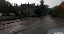 zdjęcie nr 12