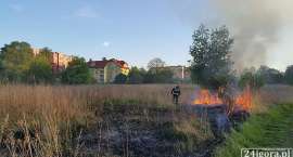 zdjęcie nr 7