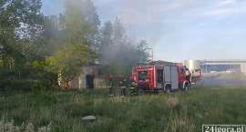 Fotka nr 1 z 13