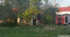 Fotka nr 4 z 13