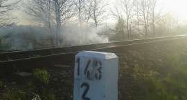 Fotka nr 4 z 10