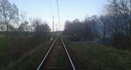 zdjęcie nr 9