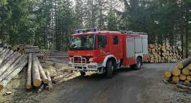 Fotka nr 2 z 7